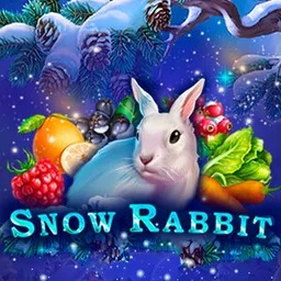 Snow-Rabbit